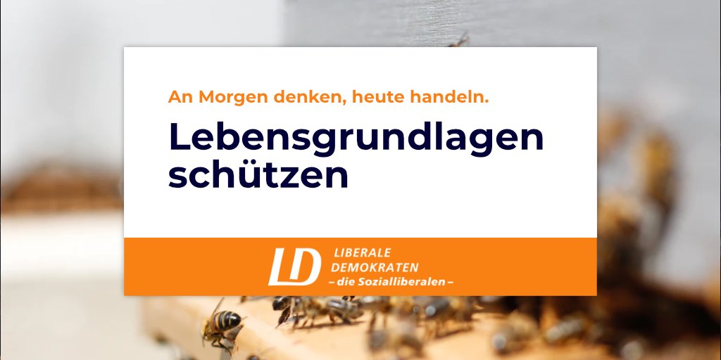 sozialliberale's tweet photo. Die #Biodiversität in Deutschland ist gefährdet. Es gibt immer weniger #Insekten und Vögel.
Wir müssen unsere #Ökosysteme endlich schützen, um auch in Zukunft gut leben zu können!
#heuteHandeln #Sozialliberal #lebensgrundlagen https://t.co/cy5oomQaFT