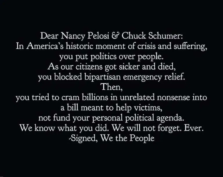 KHBudig's tweet image. #PelosiHatesAmericans #DemocratsHateAmerica #SchumerResign