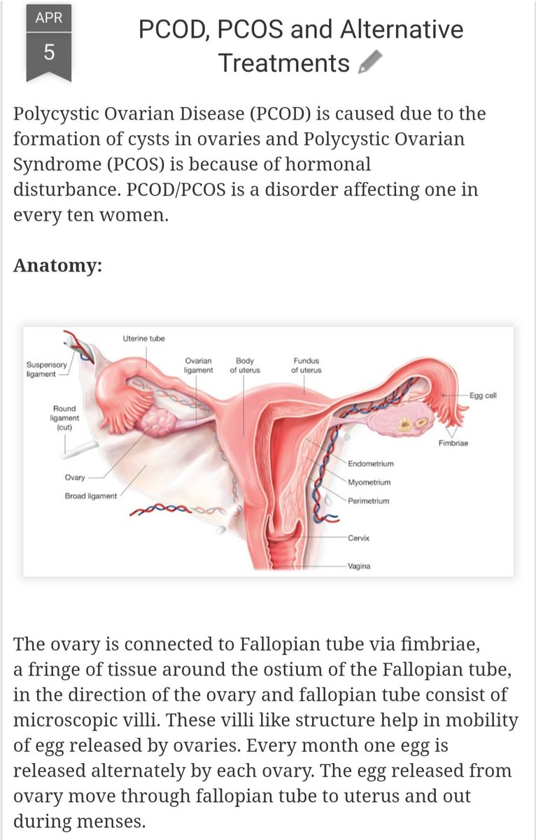 All information on PCOD & PCOS. Share with all women you know.

rajeshwaridoshi.blogspot.com/2020/04/pcod-p…

 #PCOD #PCOS #alternativemedicine #homoeopathy #acupuncture #herbalmedicine #alternativetreatment #herbaltreatment #Acupuncturetreatment #homoepathy #irregularmenses #infertility #obesity