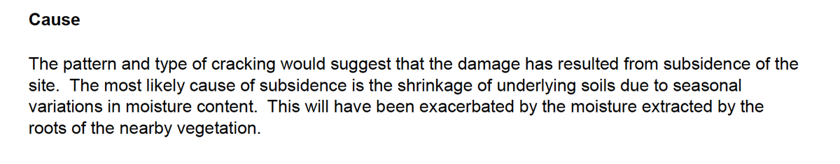 Screenshot from engineer's report reads: 'The pattern and type of cracking would suggest that the damage has resulted from subsidence of the site. The most likely cause of subsidence is the shrinkage of underlying soils due to seasonal variations in moisture content. This will have been exacerbated by the moisture extracted by the roots of the nearby vegetation.'  20/AP/0540 | TG1