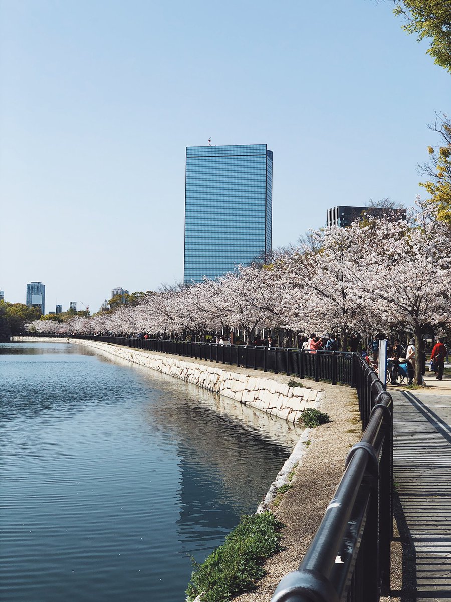 biintooot's tweet photo. Osaka Jo, Japan🌸 https://t.co/ZOUyleznE3