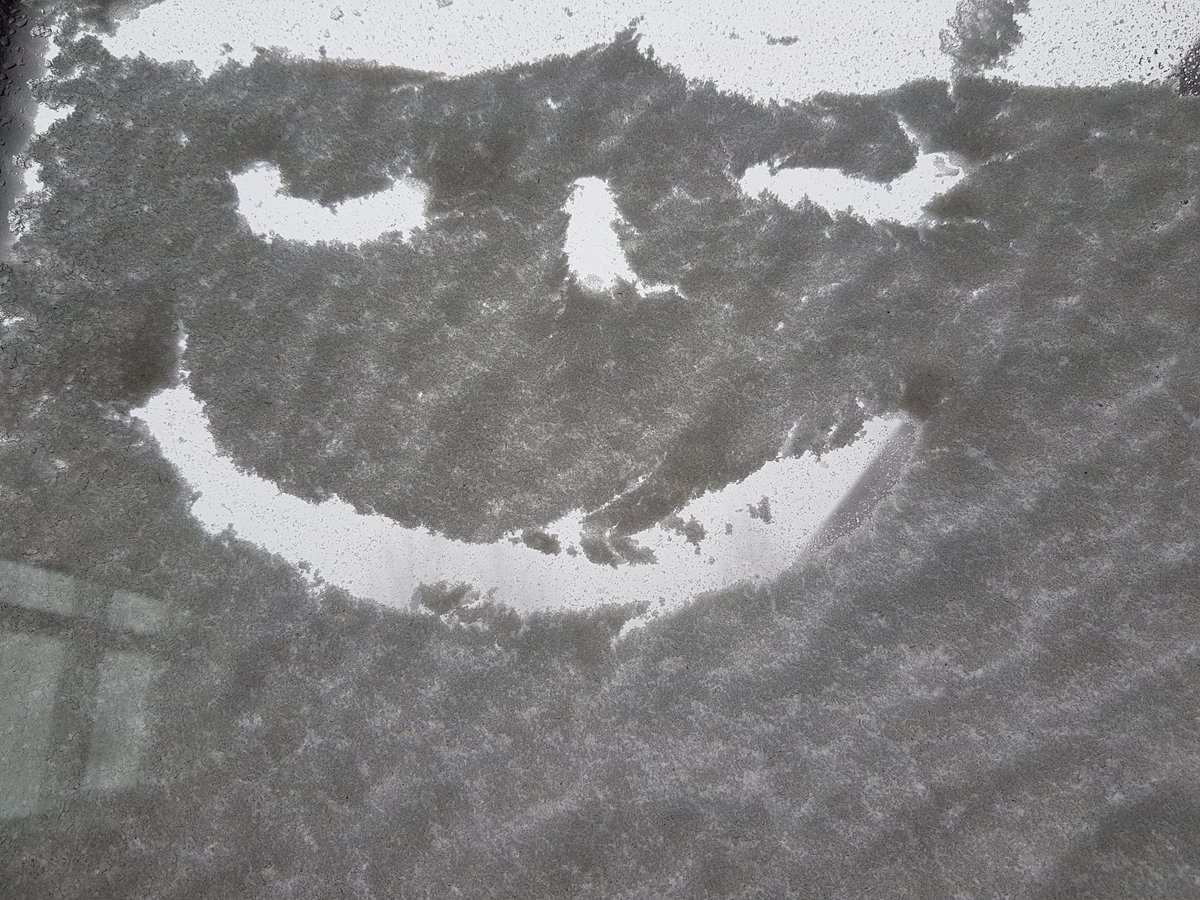 Þessi er ánægður 😬