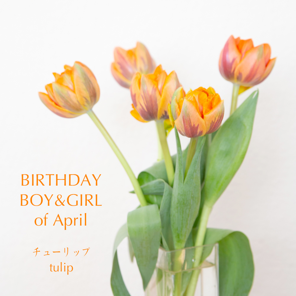 Misaki Matsui 松井みさき 写真映像作家 V Twitter 4月にお誕生日を迎える皆様 おめでとうございます チューリップ の 花言葉は 思いやり だそうです ちなみにこのオレンジ色のマーブルの品種はオレンジプリンセス 王女様なんですね 4月生まれ 4月誕生日