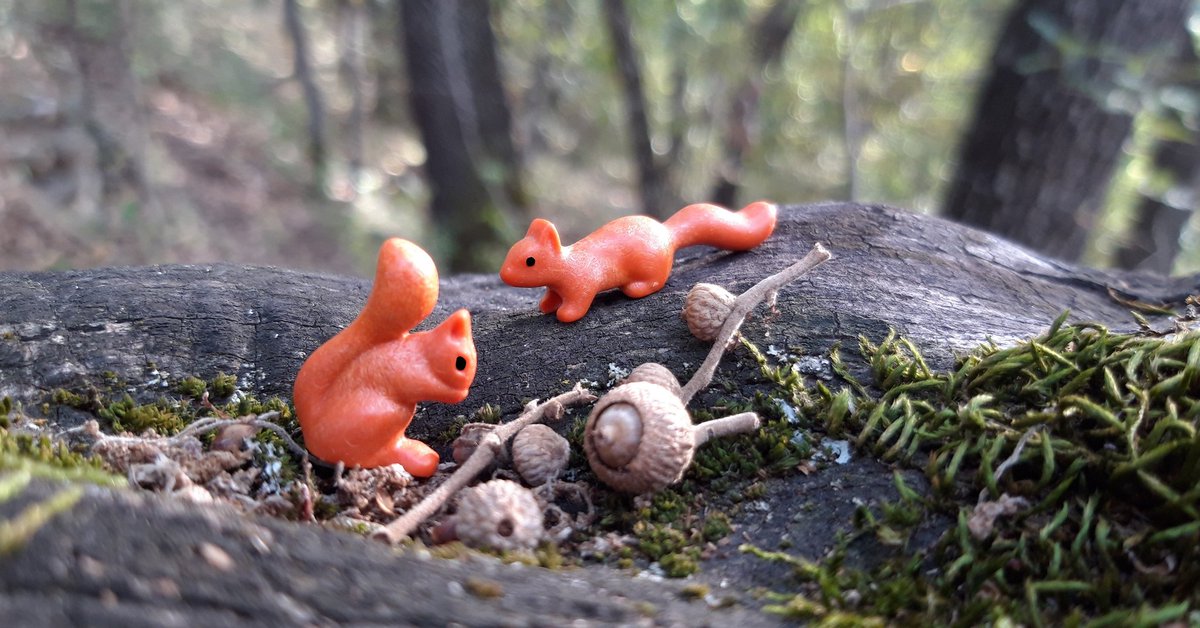 rocassos's tweet photo. La #fauna campea tranquila por campos, bosques, parques y ciudades. Observando por la ventana seguro que podéis observar algunas especies 🐦🐝🐞...

#Playmobil #YoMeQuedoEnCasa #toyphotography https://t.co/wxUeSZqQVg
