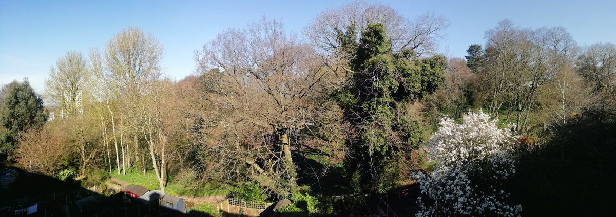 In spite of the wall to wall sunshine, today and all the sunny weather to come, is the great stay indoors day!