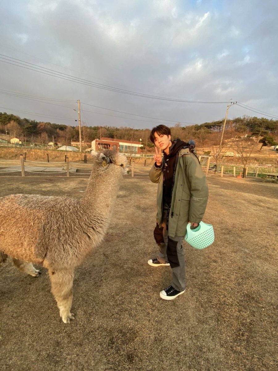 LLAMA WITH HARUTO, HARUTO WITH LLAMA, HARUTO WITH HARUTO 🤣🦙

#루토야_행복한하루_보내
#CharmingLowToneHarutoDay