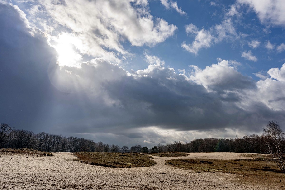 SprachbrueckeHH's tweet photo. Unser #Sprichwort des Monats: "#April, April, der macht was er will". Das April-#Wetter ist häufig schwer vorherzusagen: Letzte Woche noch #Schnee u. Minustemperaturen ❄️🥶 und heute strahlender #Sonnenschein und fast 20*C ☀️😎 Bleibt gesund! #sprachbrückeHH #spracheverbindet https://t.co/DmKH4jeN66