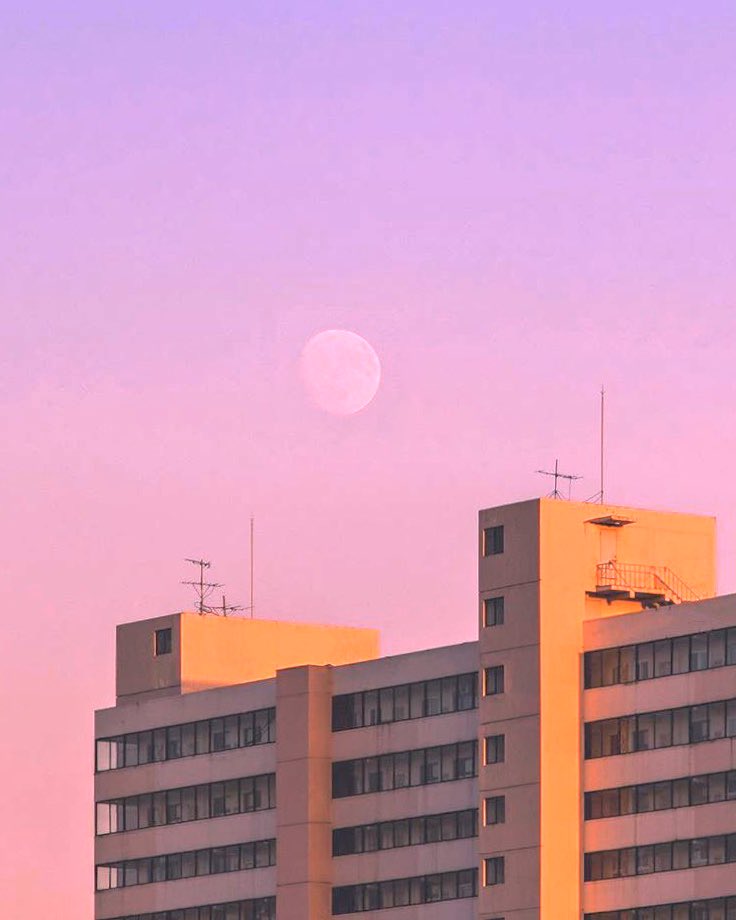 🌙