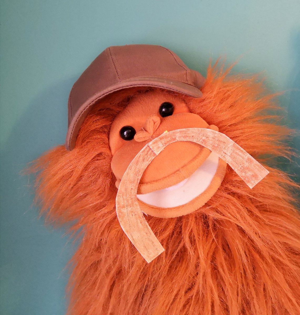 TerryTimeTTC's tweet image. Who is Carol Baskin ? and does she collect Orangutans ?
#TheTerryTimeChannel #CaroleBaskin