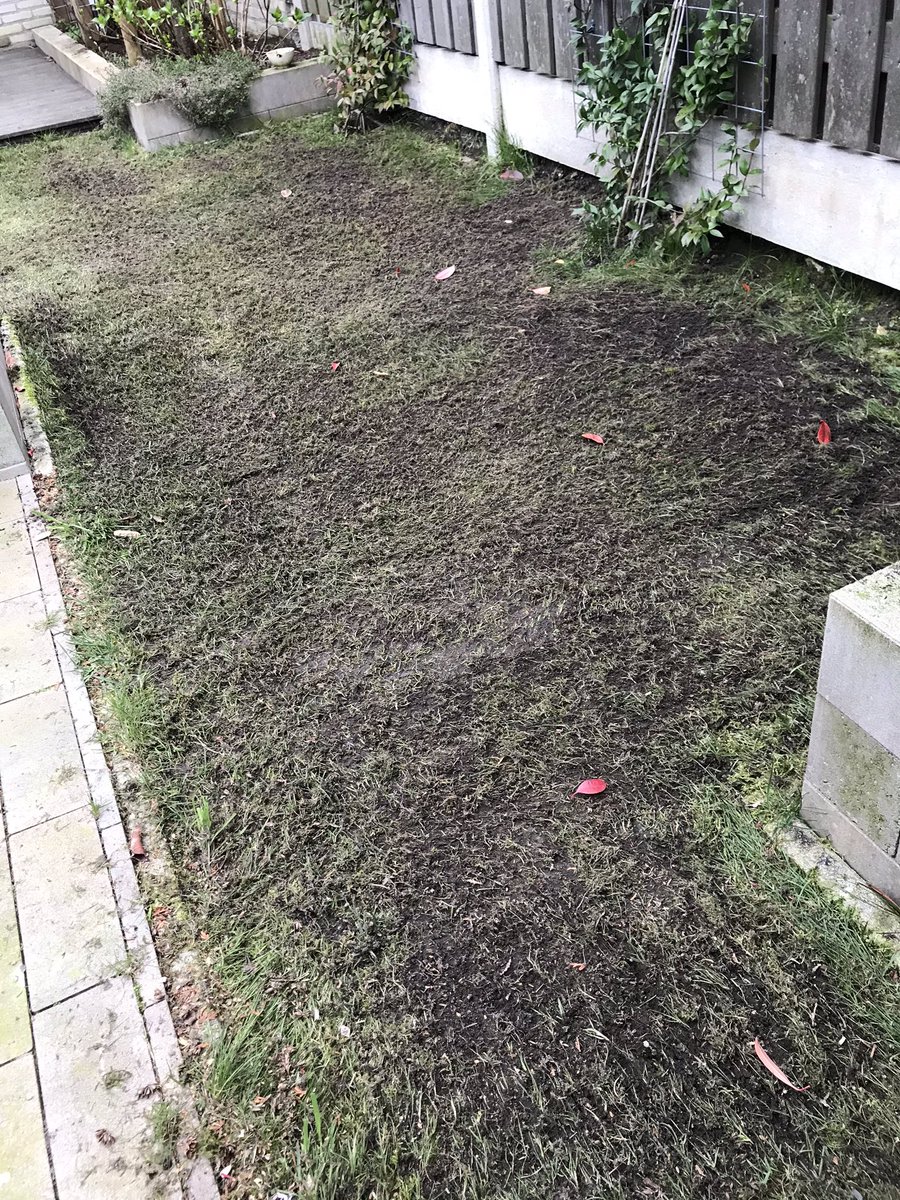 Mooi man, hoe jullie allemaal na de herfst en winter na slechts 1 keer maaien in de tuin een grasveldje hebben dat eruit ziet als het speelveld van de Kuip. 

Me: