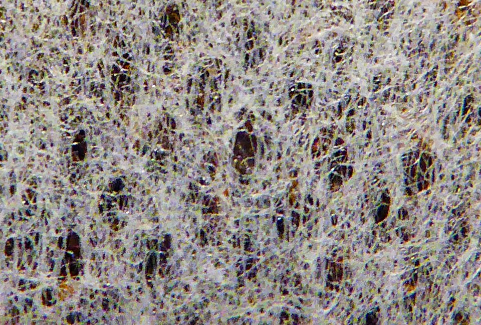CountrysideBen's tweet photo. Day 11 of #lockdownlens. What household item is this a photo of? https://t.co/lNbCOcZRu0