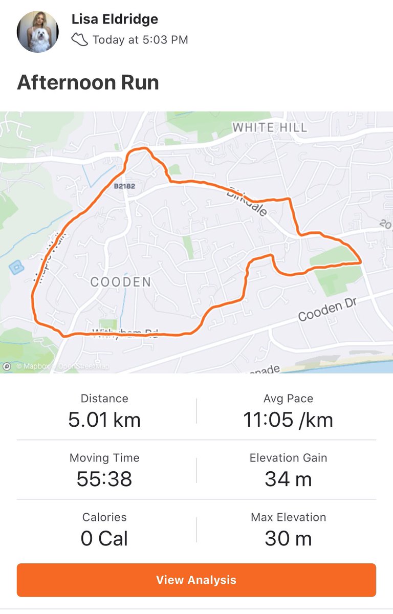 LisaEldridge22's tweet photo. @littlecommonfc mascot Buddy walked/sniffed his way round 5k for @Run5k4NHS https://t.co/VxTeZ4Pc1i
