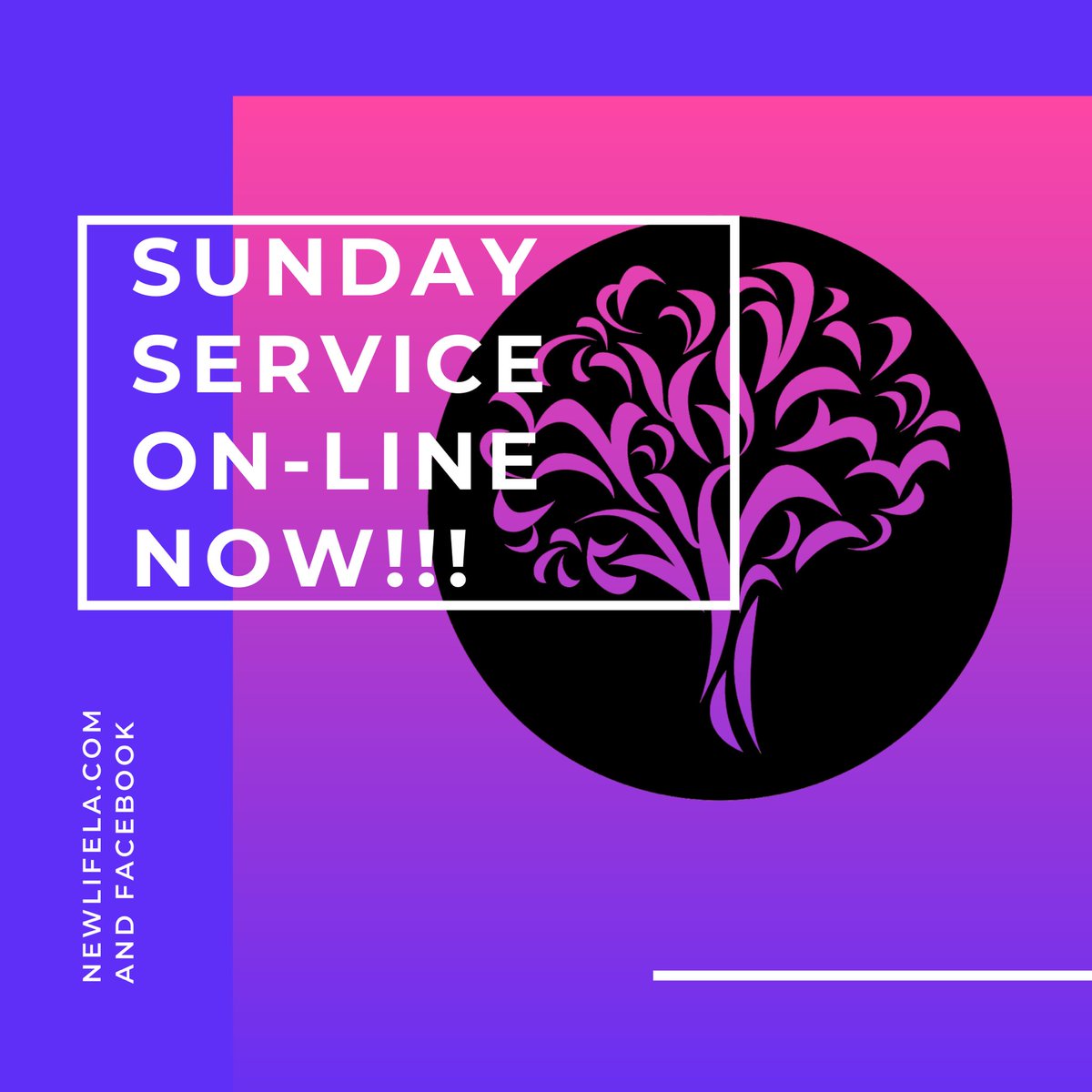 NewLifeLA's tweet photo. Head on over... it’s time for CHURCH!! Facebook search: NewLifeLA or go to our website: https://t.co/iaOUUQXRX3 https://t.co/nSOmIRkctk