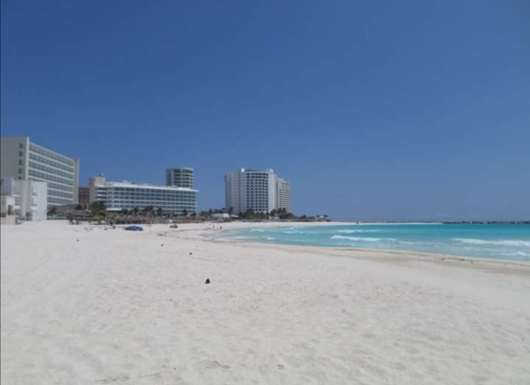 nelvaldez's tweet photo. No todo son malas noticias, las playas de #Cancun lucen más limpias y han recuperado su esplendor ante la cuarentena por el #COVID19 https://t.co/oL6whSlfO2