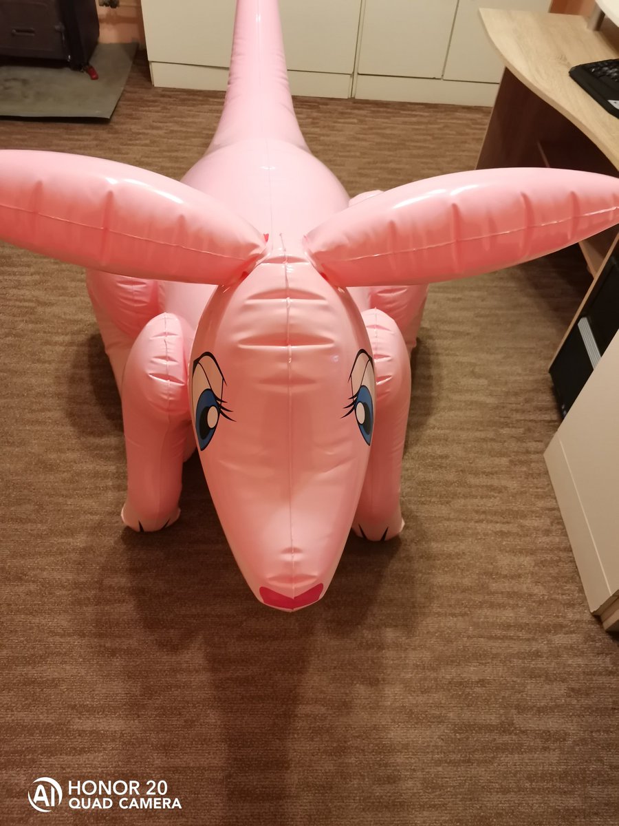 This pose...
#inflatable