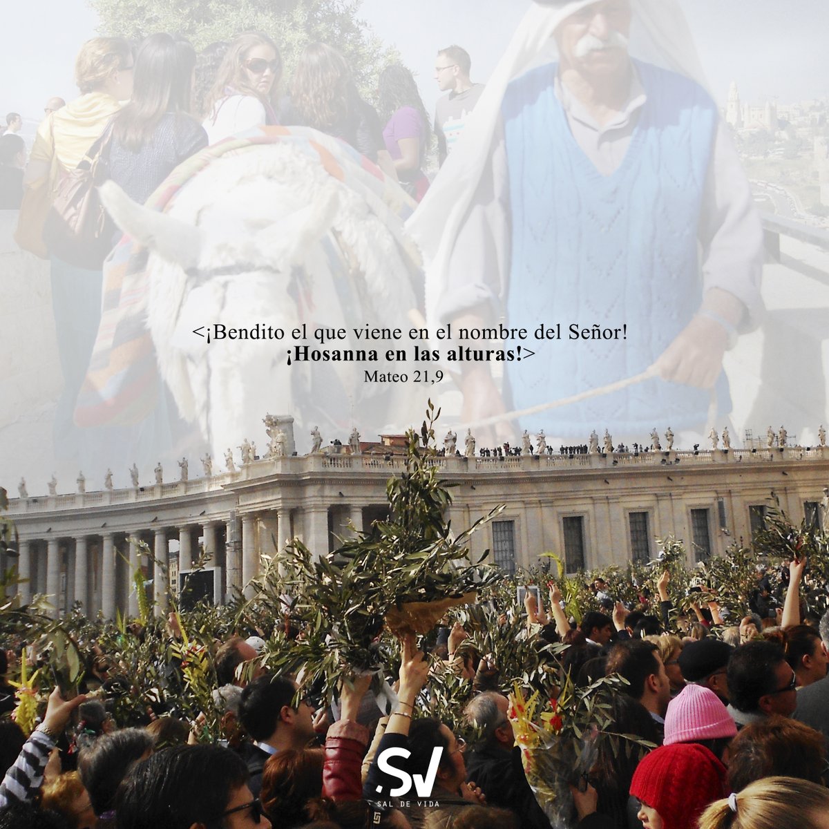 SaldeVidaDG's tweet photo. ¡Hoy es #DomingodeRamos! ¡Hossana!
Roma/Tierra Santa, 2013

#semanasanta2020 #catolico #mequedoencasa #graphicdesign #hossana #roma #tierrasanta https://t.co/aYKYhYZPuA