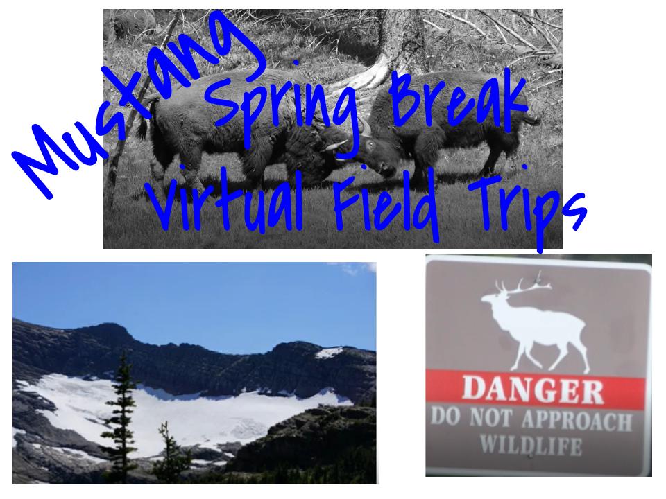 mcconnellhcde's tweet photo. #StayAtHome just got a little more fun with our Mustang Virtual #SpringBreak202 videos now uploaded and ready for our #Mustangs viewing! Big shout out to our amazing faculty willing to put this together for our students during these unprecedented times.
https://t.co/Mszvp57Au2 https://t.co/PnmpVGQO5O