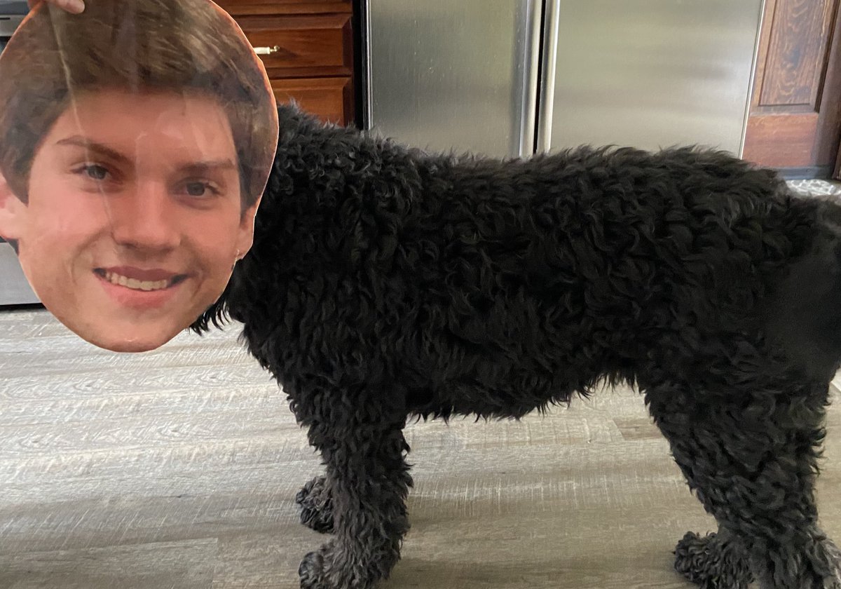 Leading in both offensive 4.5 and defensive 7.5 rebounds per game our leader averaged 11.9 rebounds per game —“Best shot is the second shot”—
 
“He is good at picking up the ball but not good picking up his garbage from others’ cars “— friends say 

Rebound Leader
<a href="/jake_blumer/">jake</a>