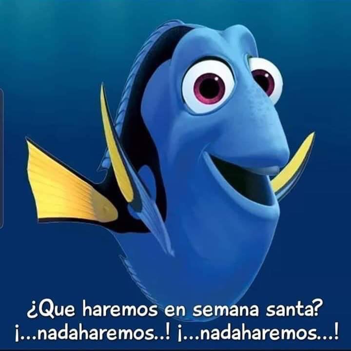 simphonykids's tweet photo. ¿Qué haremos en Semana Santa? https://t.co/AdSozatvkO