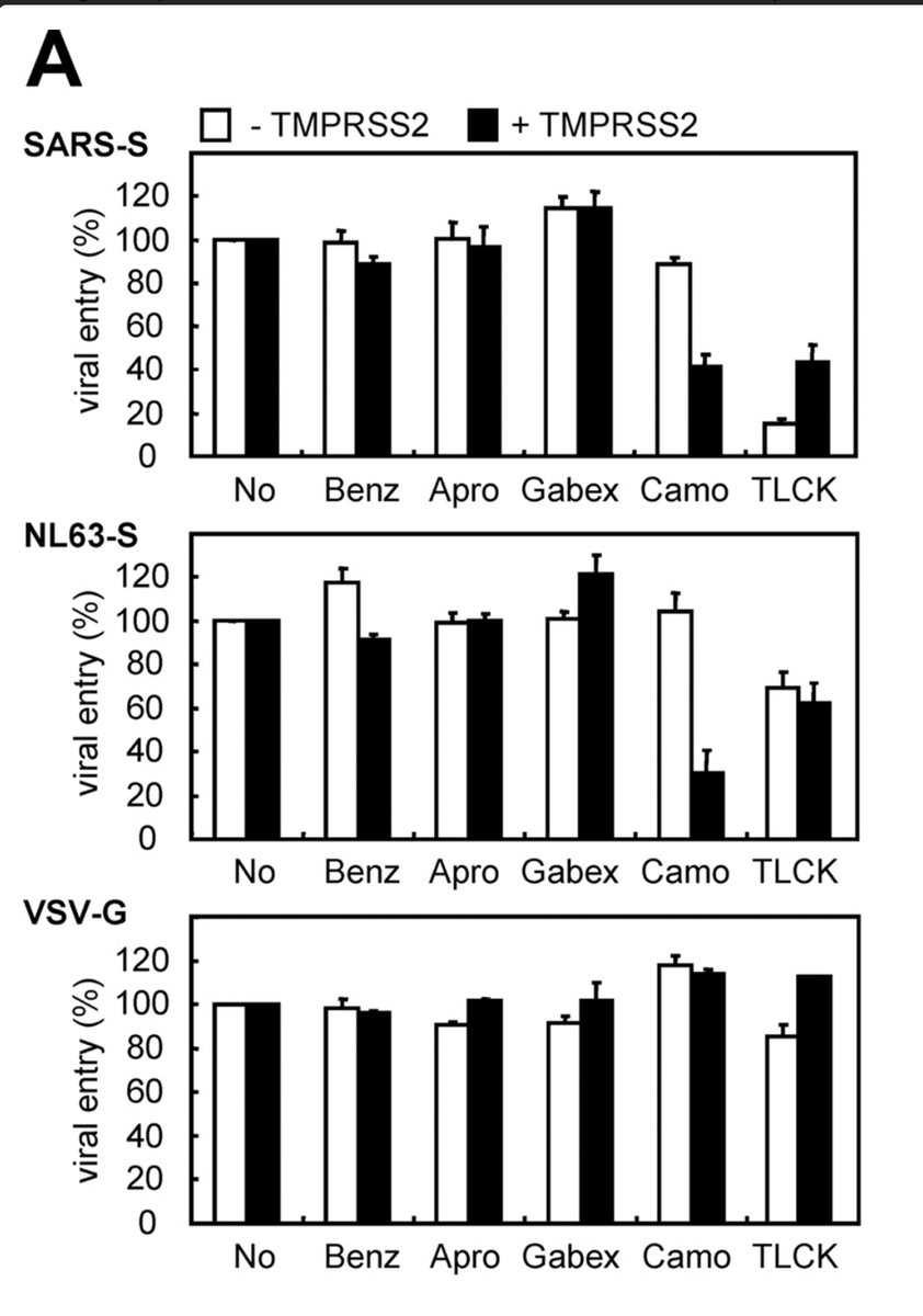 In that paper, camstat was found to inhibit cell entry. It shows:1. that TMPRSS2 is important for viral entry using genetic approaches2. that camostat only prevented viral entry when TMPRSS2 was expressed in cells