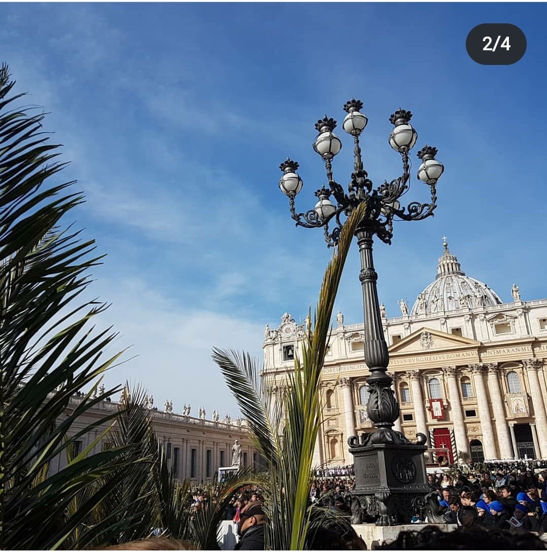 Palm Sunday, 2018. With other youth, carried the giant palms for the procession with Pope Francis.