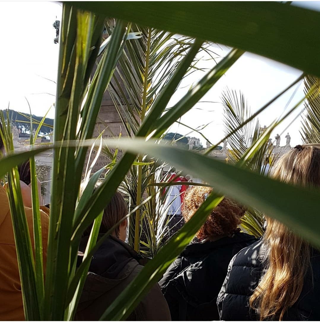 Palm Sunday, 2018. With other youth, carried the giant palms for the procession with Pope Francis.