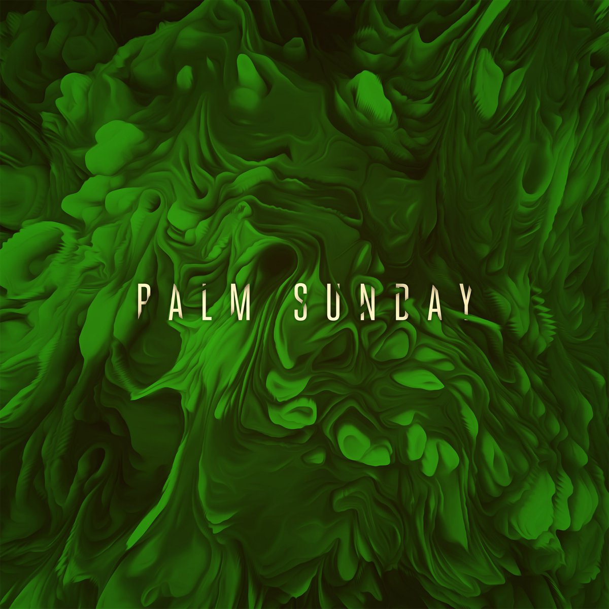 whoisgrace's tweet photo. Hosanna! Blessed is he who comes in the name of the Lord!
#whoisgrace https://t.co/gkWPYsTrXR