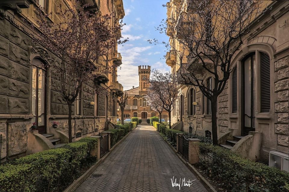 Se fosse possibile andare a passeggio.. ritornerei davanti e questo delizioso abitato torinese impreziosito proprio non questo periodo dai pruni in fiore 🌸 ma stiamo a casa e non abbassiamo la guardia, soprattutto adesso 💪🏻💪🏻💪🏻
(Valerio Minato pH)