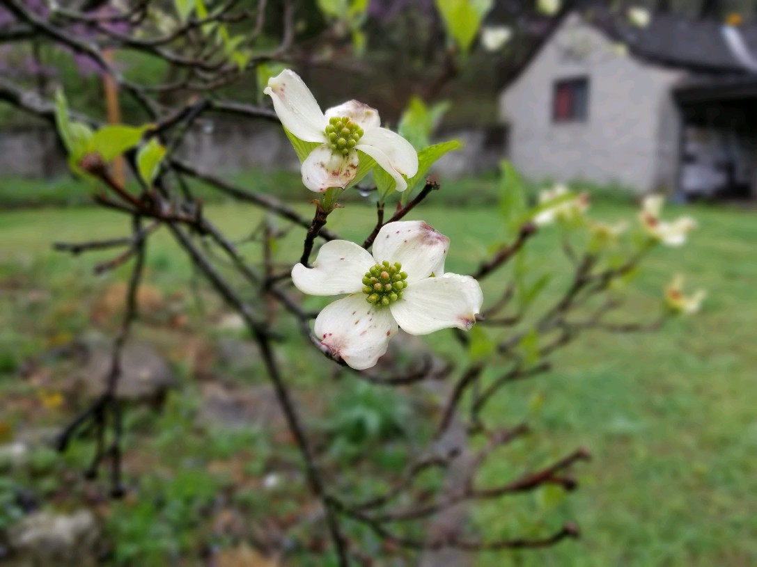 mostateparks's tweet photo. Before heading to a park, be sure to check https://t.co/YASdMTYUcQ for any weather-related advisories. For the latest temporary closures related to COVID-19, visit https://t.co/pjlTOyGcd2.  📷 - Roaring River State Park #mostateparks #visitmo #staysafeoutdoor #leavenotrace https://t.co/fWLhcynYkl