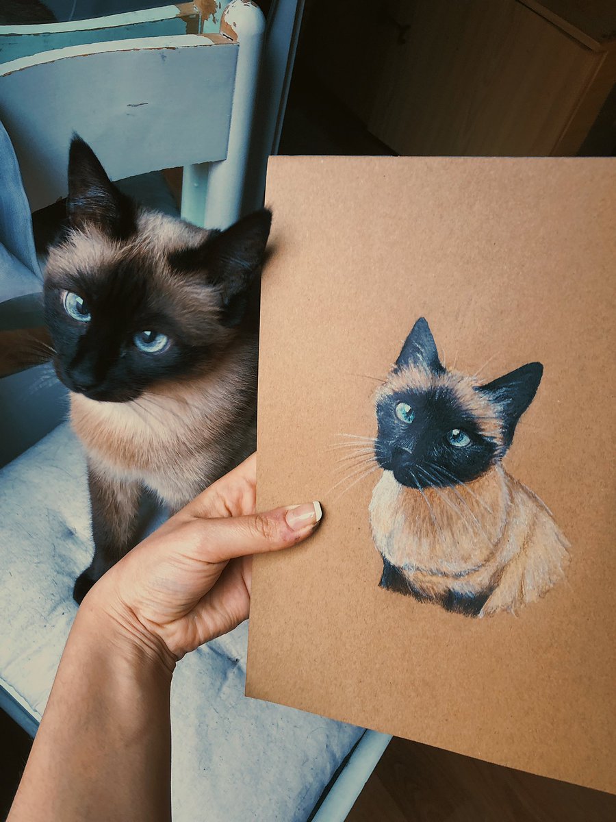 Debería dibujar más...