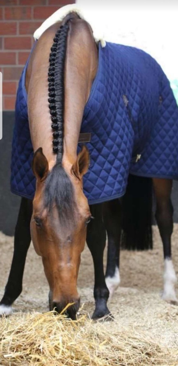 في ذمتي مالي مع العالم اشباهولايعوض في غيابي قبيله...🕊  مجرد بوح