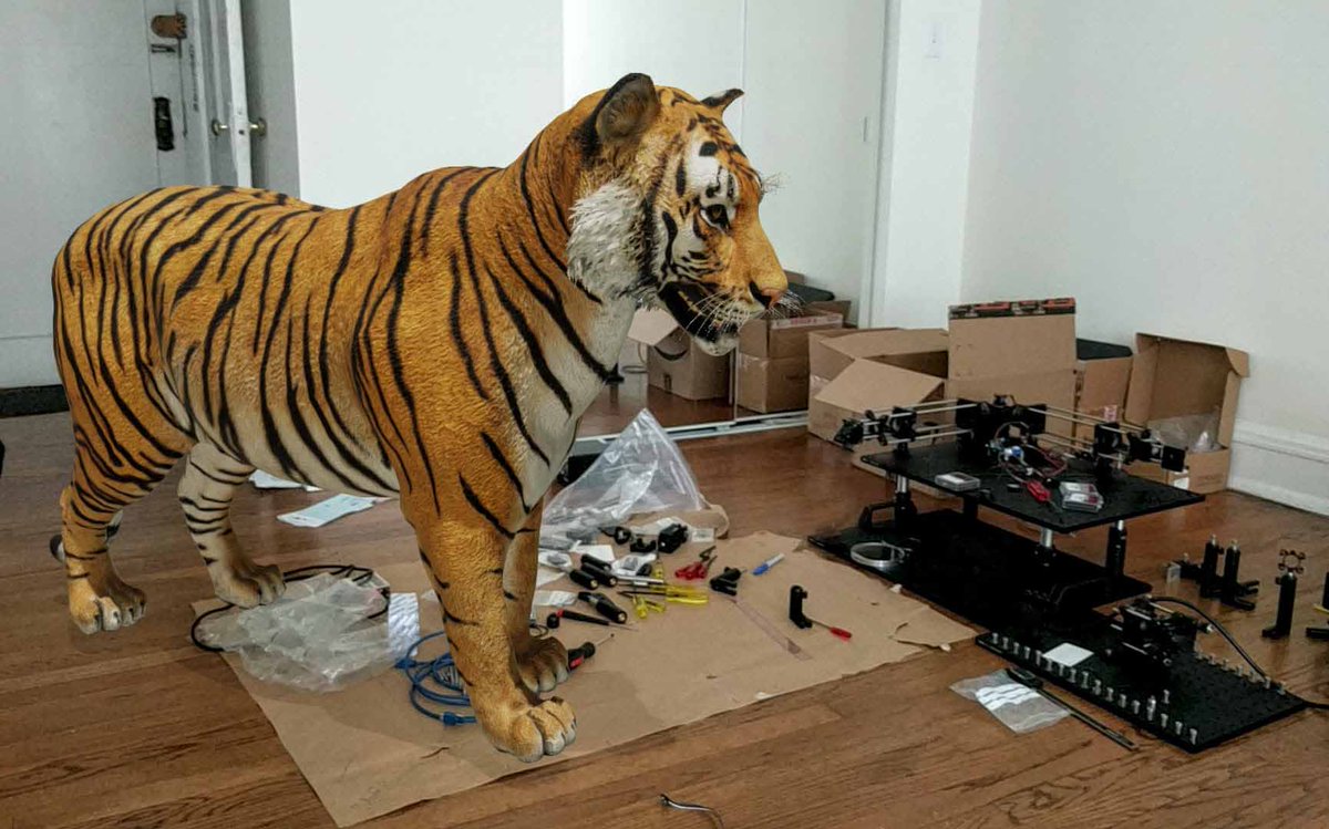 OptoManishK's tweet photo. It takes someone to roar at you to make you work from home😅
#GoogleARCore #GoogleSearch #3Danimals https://t.co/T2ZagQH9Wr