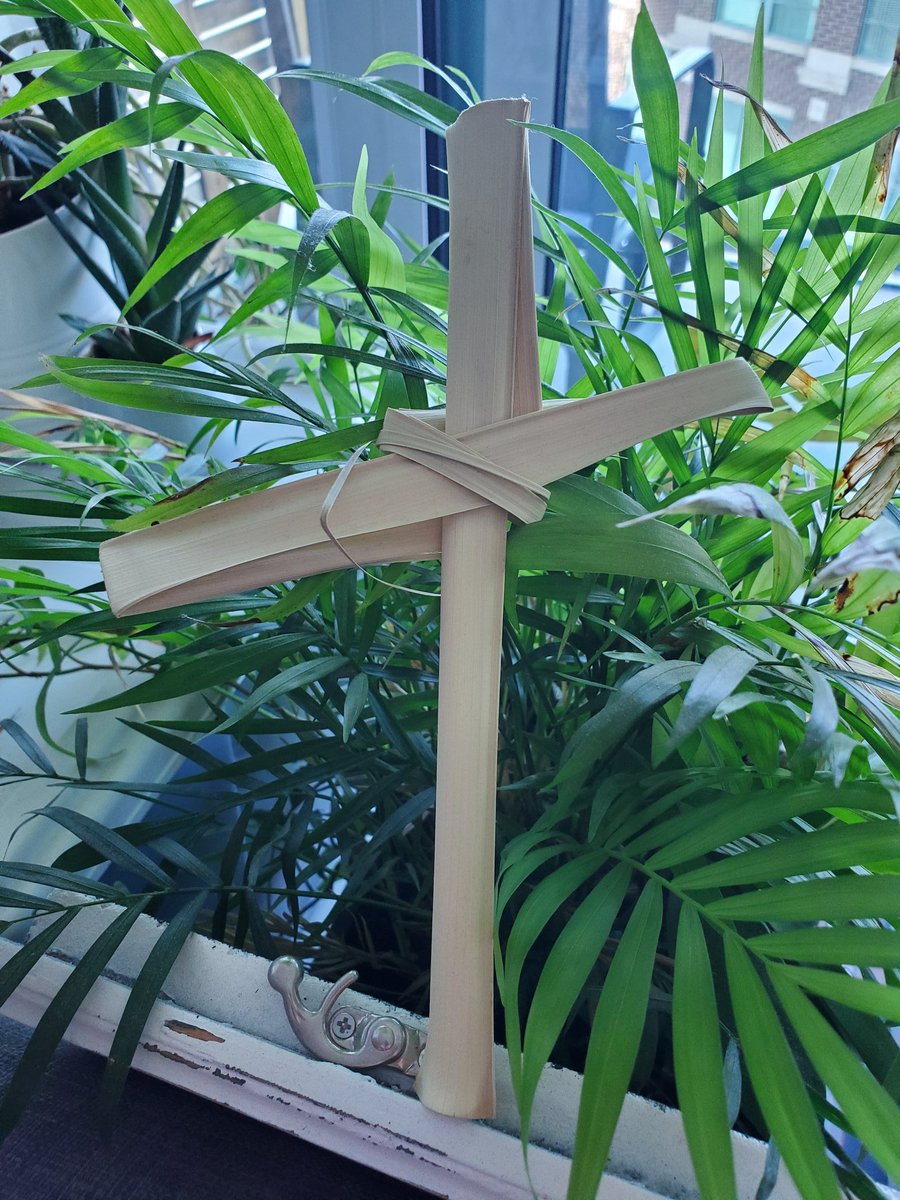 Blessed Palm Sunday to everyone! 🙏