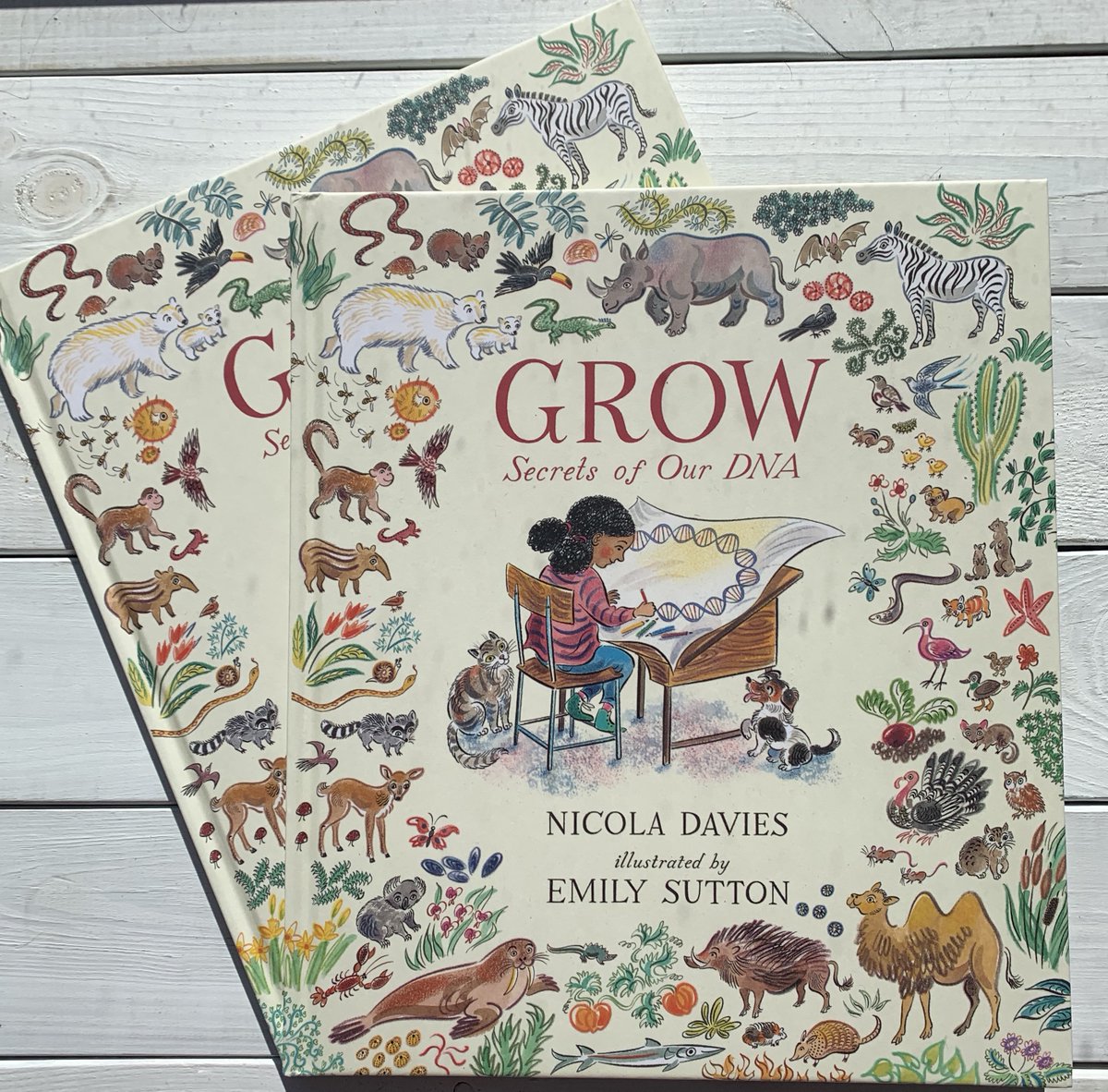 BOOKSetc_online's tweet photo. RT/follow to enter our giveaway.

A beautifully illustrated introduction to the concept of DNA for younger readers. This groundbreaking book is certain to enchant and inspire children.

https://t.co/rH14OFGz86 courtesy of @WalkerBooksUK 

#giveaway https://t.co/AgSANfC3b6