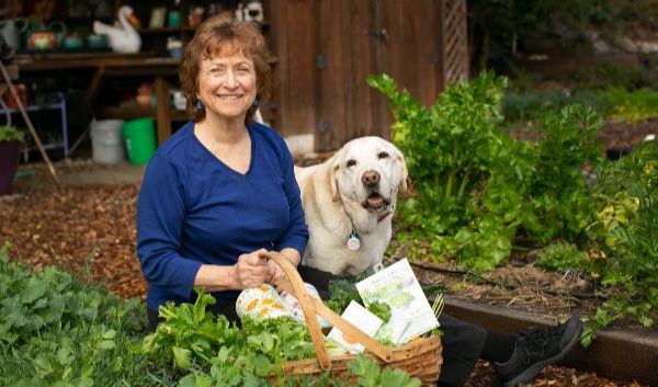 Welcome New Gardeners &amp; Articles and Videos You Can Use Now - mailchi.mp/reneesgarden/w…