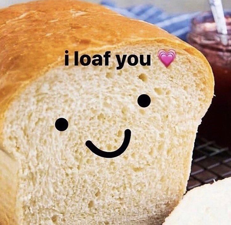 RespectfulMemes's tweet photo. https://t.co/yawjSPTrG2