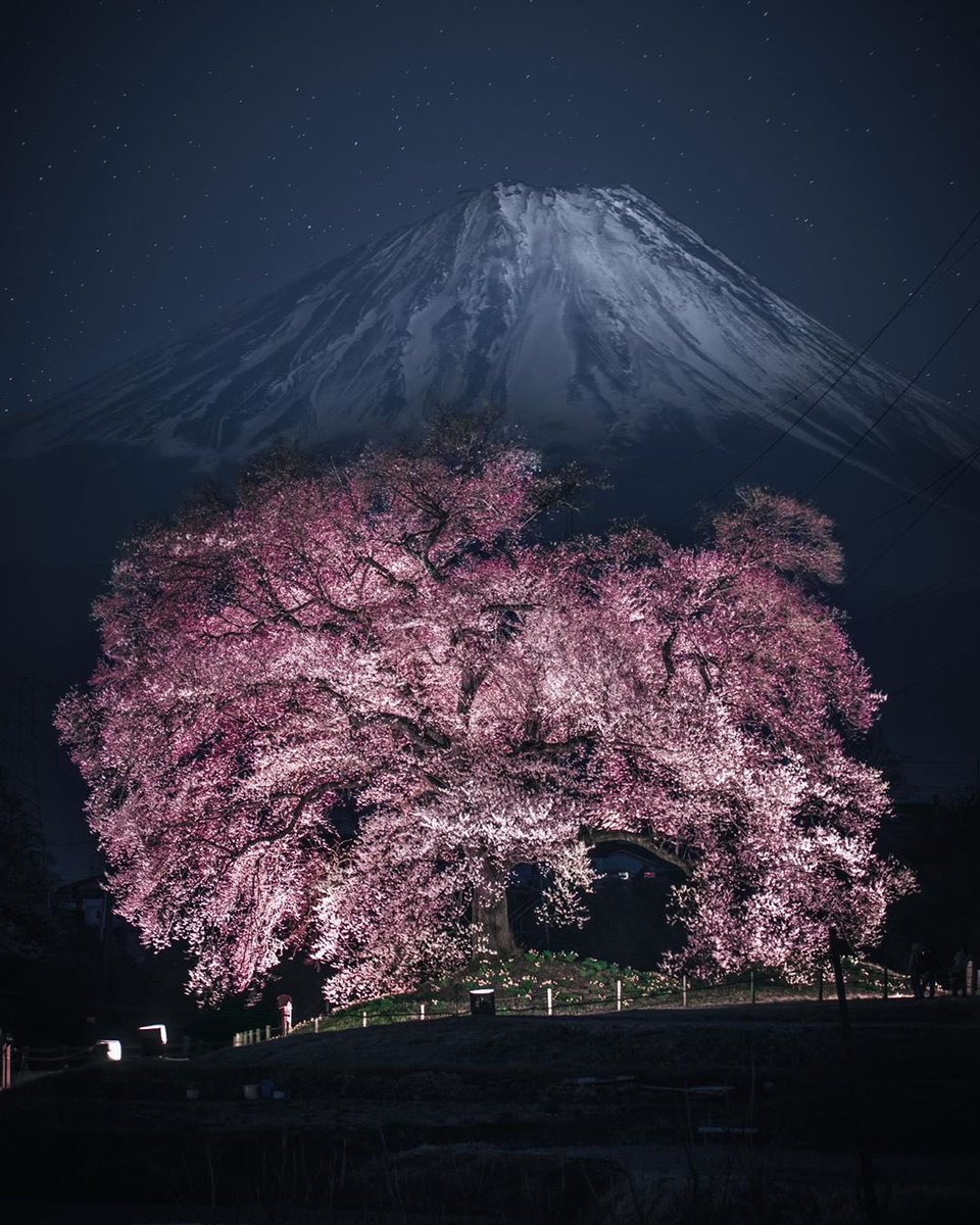 #HelloFrom Mount Fuji 🌸✨ instagram.com/p/B-m8LX0gDP1/…