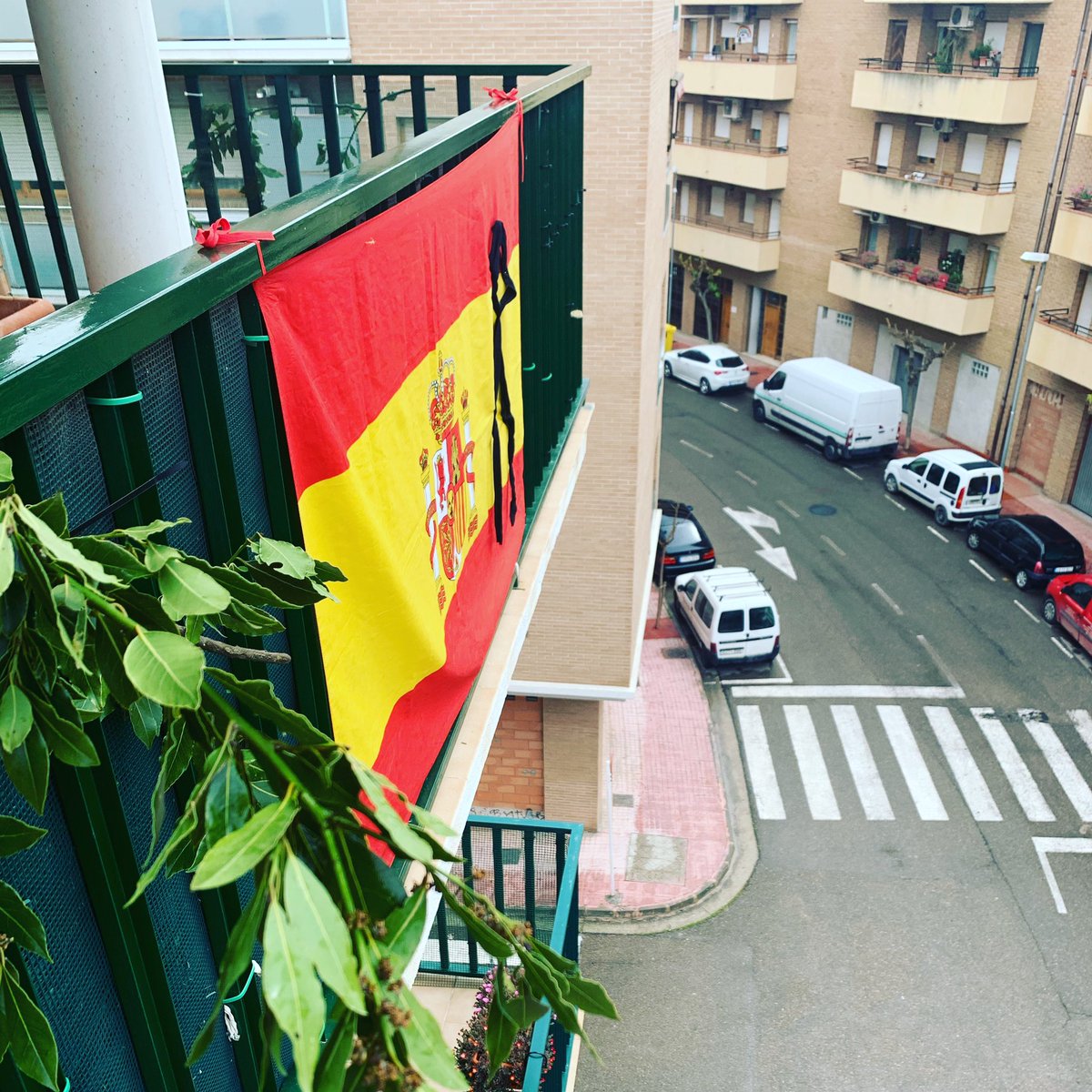ToniBarberan's tweet photo. Feliz Domingo de Ramos! https://t.co/fYbLltfqh3