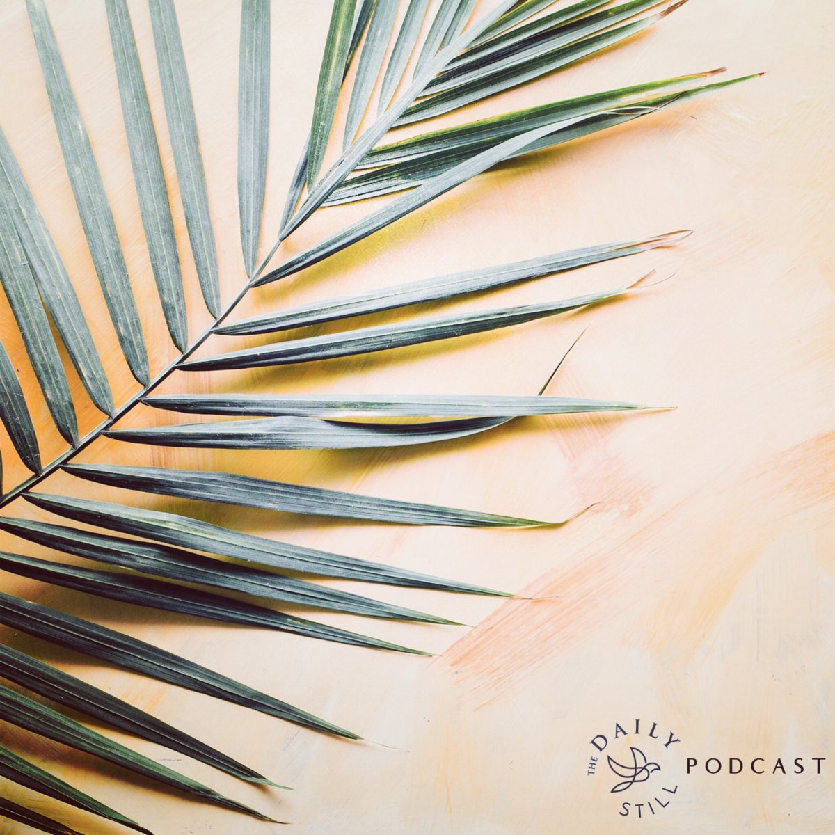 TheDailyStill's tweet photo. PALM SUNDAY MEDITATION. Breathe in and linger awhile in this space, lifting your eyes toward heaven. And join us each day this week for our Holy Week Meditation Series. Available wherever you listen to podcasts. https://t.co/YH82SssM69