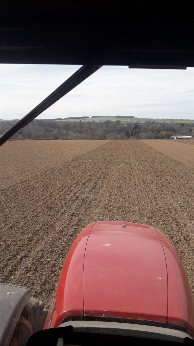 curlingbill's tweet photo. Great satisfaction turning sown ground into rolled ground. One of the best jobs........provided not too many stones!!!🗻🗻🗻 https://t.co/IHr9iNWNHB