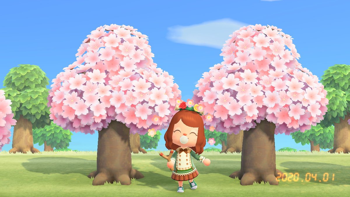 otaking21's tweet photo. #动物森友会 #AnimalCrossing #ACNH #NintendoSwitch https://t.co/peQ7ymxWxC