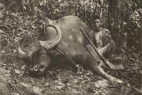 Mereka nampak orang Melayu masuk hutan mencari akar kayu, mengharung laut mencari ikan, meredah sungai mencari bijih dan turun ke bendang membajak sawah.