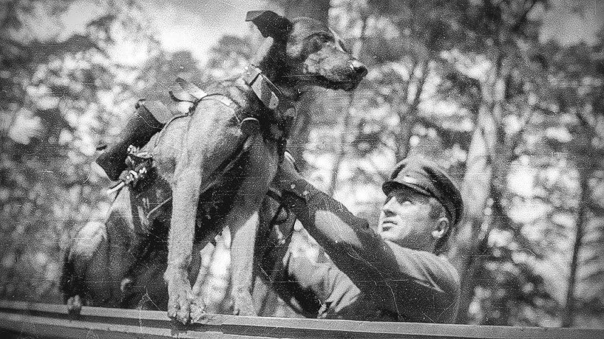 Bu uygulama 2. Dünya Savaşı’nda Sovyetlerin kullandığı anti tank köpeklerinden hatırlanabilir. Sovyet ordusu tarafından yetiştiren ve oyun oynadığını düşünerek düşman hattına yaklaşan yüzlerce köpek, Alman tanklarının kabusu olduğu gibi oyunlarından bir daha geri dönememişlerdi.