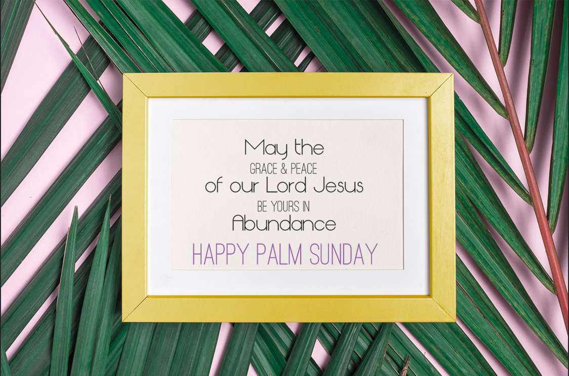 InBloomGroup's tweet photo. #PalmSunday #Inbloomgroup #inbloom #blooms #bloom #flowers #flower #farmdirectflowers #farmdirect #farmfreshflowers #farmfresh #freshflowers #palm #jesus https://t.co/InbhJtAvUk