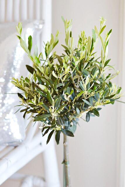 #FelizDomingo #TodoSaldráBien
#HappySunday #EveryThingWillbeOK

#coronavirus #yomequedoencasa #QuédateEnCasa #estevirusloparamosentretodos #EstamosCercadeTí #QueremosAyudarte
#aove #evoo #aceiteolivavirgenextra #extravirginoliveoil #licopeno #lycopene 
#aceiteconlicopeno #covid19