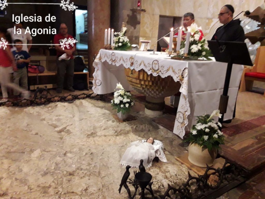 PadreReneCari's tweet photo. Hoy 12 Hs - Misa de Ramos por el padre Rene Cari en You Tube - https://t.co/CgkfZesEmw https://t.co/yqsIuC7fy9