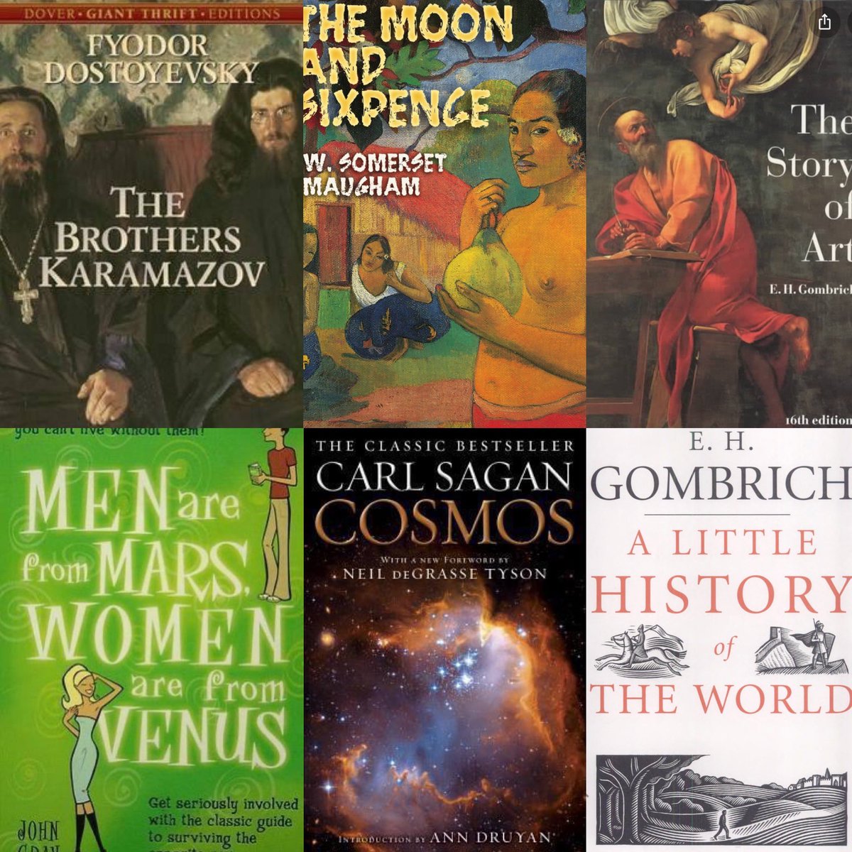 -The Moon and Sixpence by Somerset Maugham-The Brothers Karamazov by Fyodor Dostoyevsky-The Story of Artby Ernst Gombrich-Cosmos: A Personal Voyage by Carl Sagan-Men Are from Mars, Women Are from Venus by John Gray-A Little History of the World by Ernst Gombrich