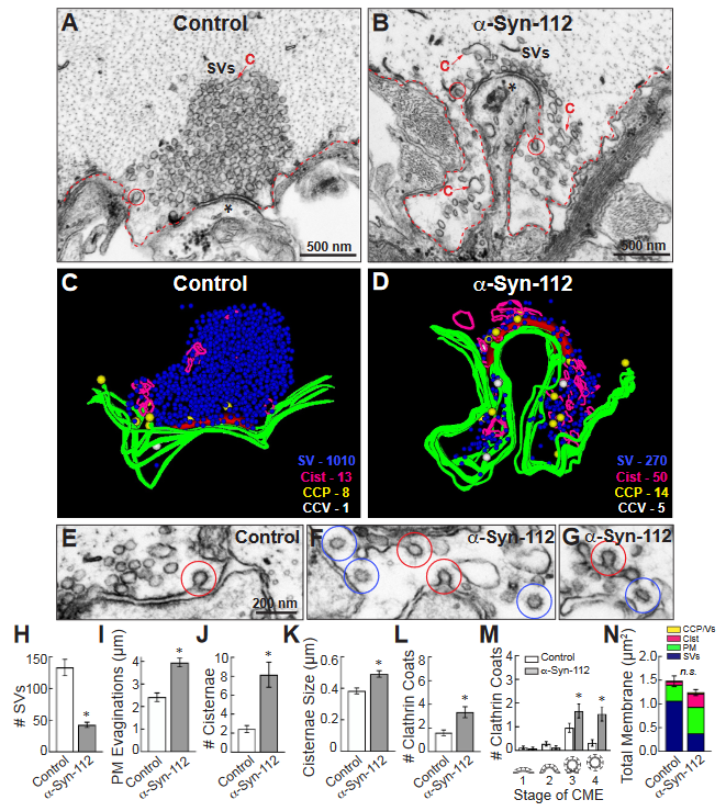 The Science of Parkinson's tweet media