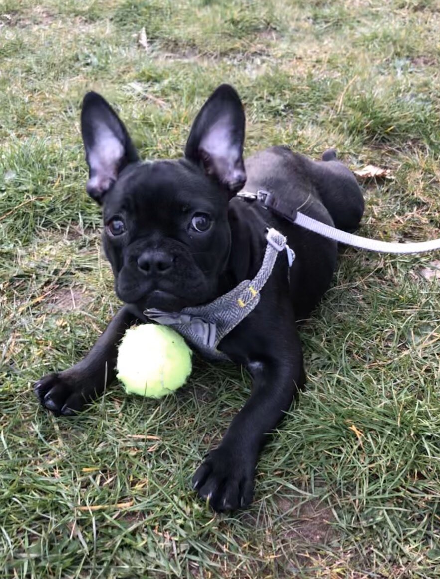 When someone coughs near you 😂😂 #covid19