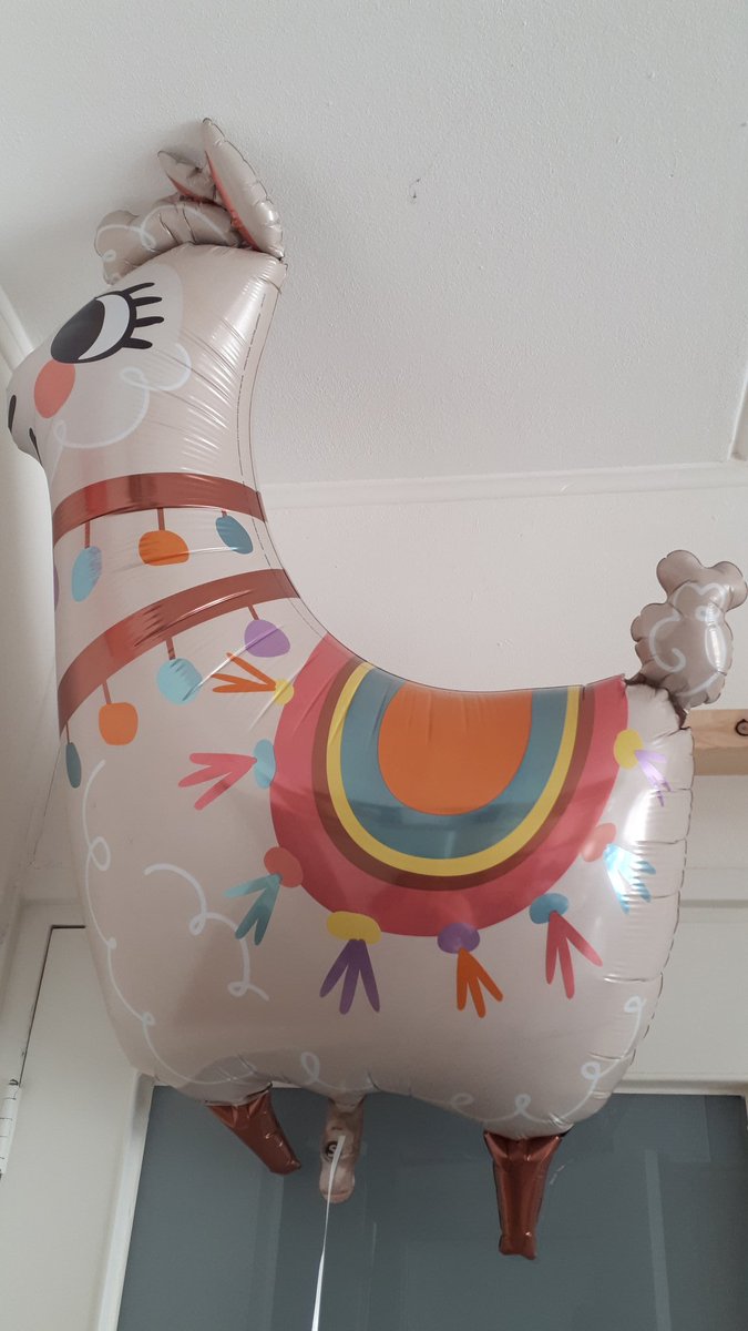 LisettevCooten's tweet photo. Mijn 13yo heeft een nieuw huisdier. Mag bij mij blijven wonen #birthday #latepresent https://t.co/cZxJNgUv5t